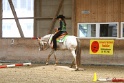 28-ApHC OT_119